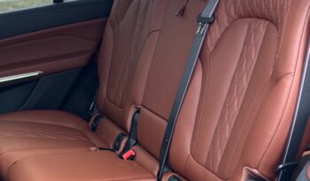 
										BMW X7 xDrive 40D full									