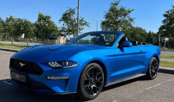
										Ford Mustang full									