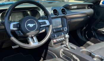 
										Ford Mustang full									