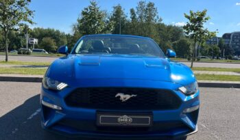 
										Ford Mustang full									